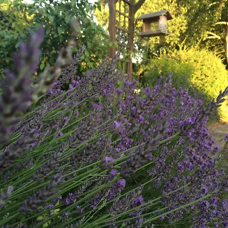 Maison d'hôtes Les Grands Pins *