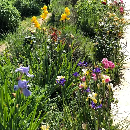 Maison d'hôtes Les Grands Pins *