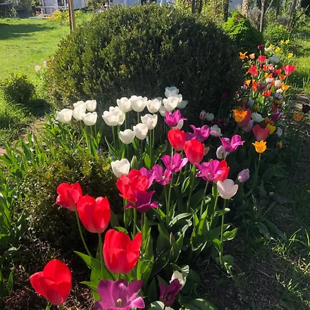 Maison d'hôtes Les Grands Pins *