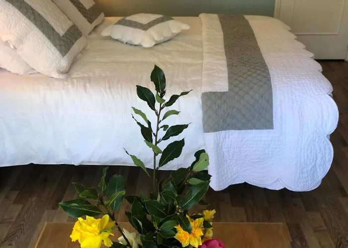 Guest house Les Grands Pins *